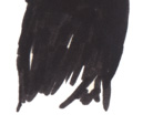 Six Feet Under right crow